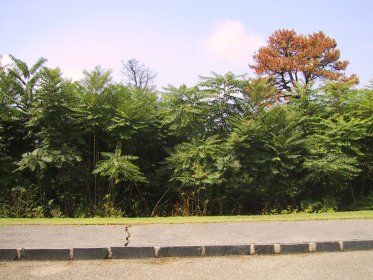 Opposite overlook