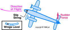 1out-spectator