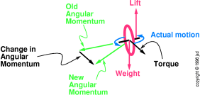 angular-precession