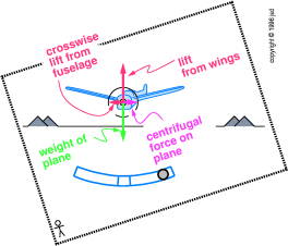 boat-plane