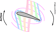 circulation