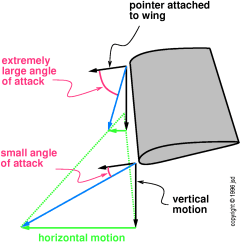 spin-angle-tight