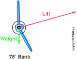 spiral-75