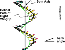 steady-spin