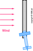 wind-left-bird