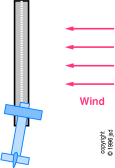 wind-right-bird